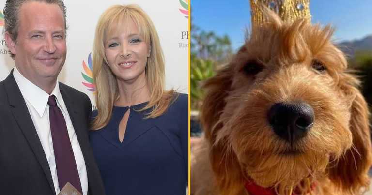 Lisa Kudrow reportedly wants to adopt Matthew Perry’s dog Alfred