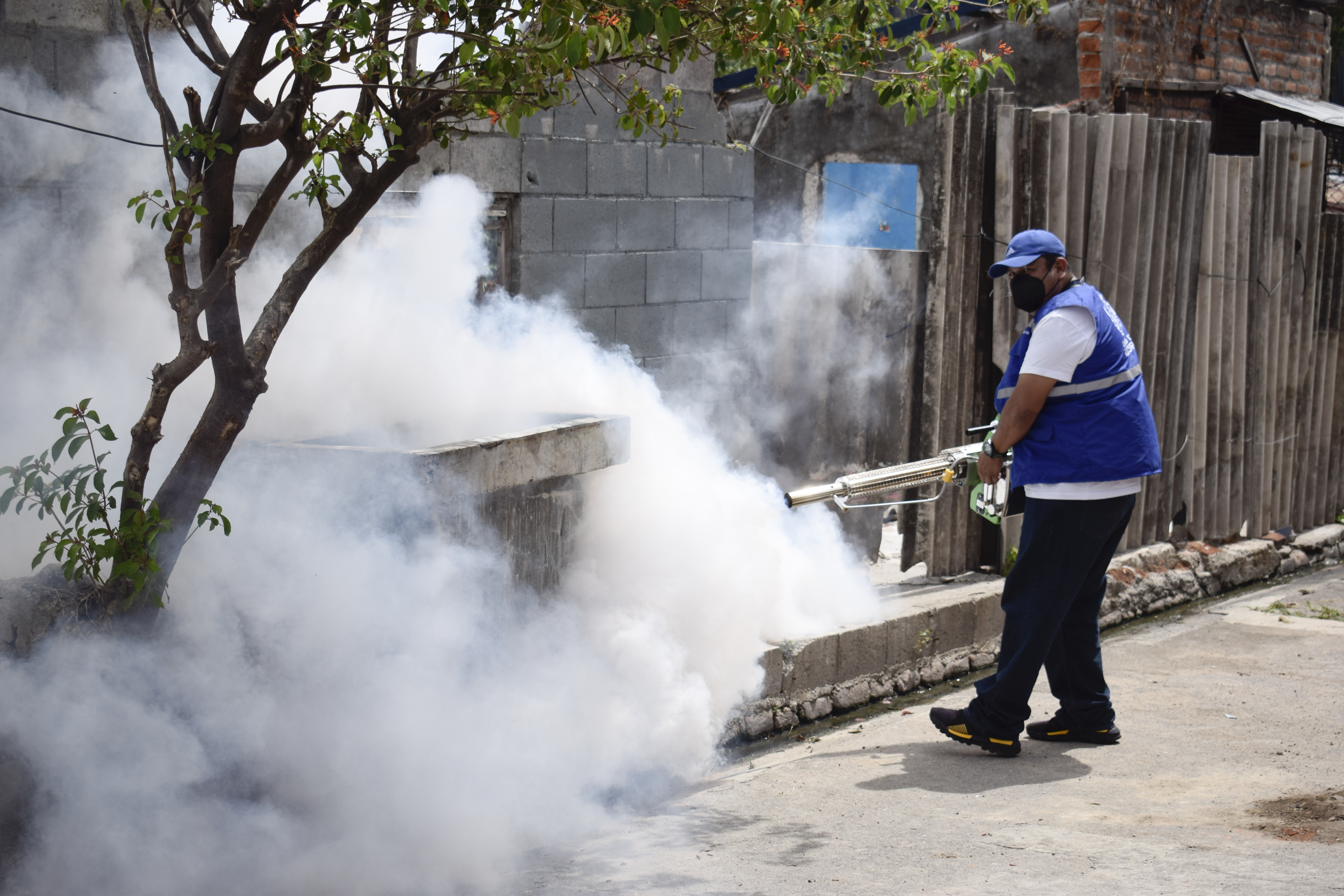 Here’s everything we know about Chikungunya virus as cases rise in UK